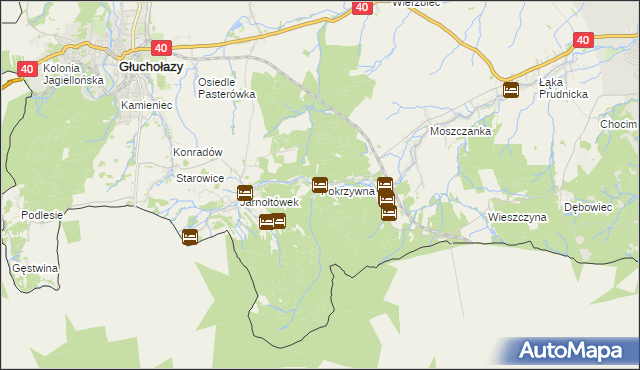 mapa Pokrzywna gmina Głuchołazy, Pokrzywna gmina Głuchołazy na mapie Targeo