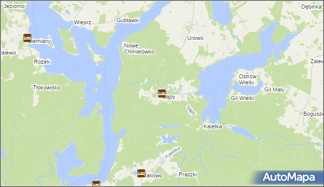 mapa Sąpy gmina Iława, Sąpy gmina Iława na mapie Targeo