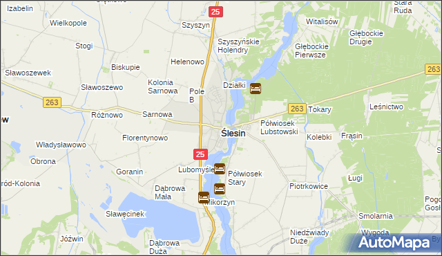 mapa Ślesin powiat koniński, Ślesin powiat koniński na mapie Targeo
