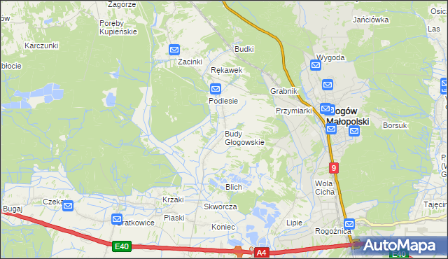 mapa Budy Głogowskie, Budy Głogowskie na mapie Targeo