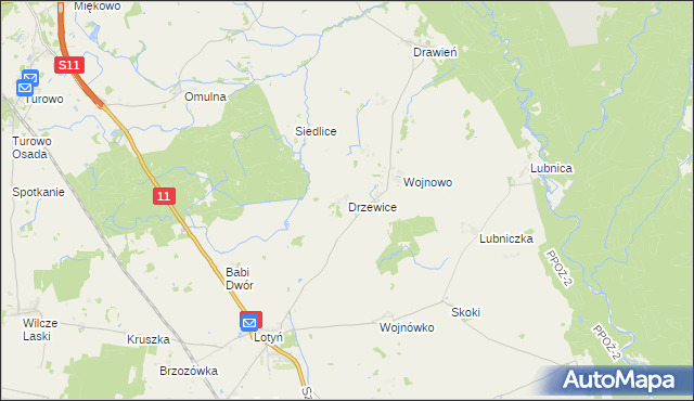 mapa Drzewice, Drzewice na mapie Targeo