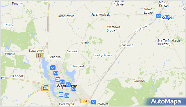 mapa Frydrychowo gmina Ryńsk, Frydrychowo gmina Ryńsk na mapie Targeo
