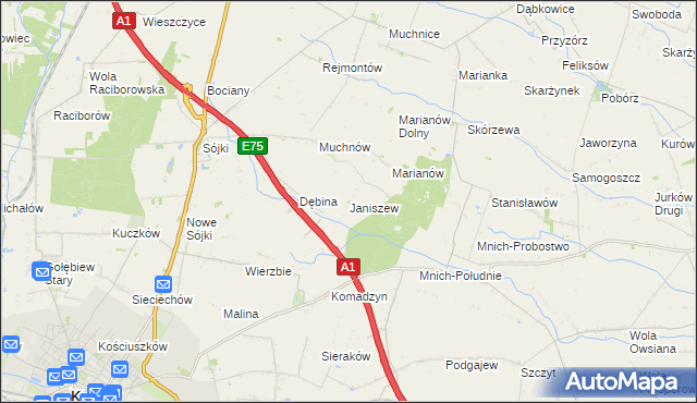 mapa Janiszew gmina Strzelce, Janiszew gmina Strzelce na mapie Targeo