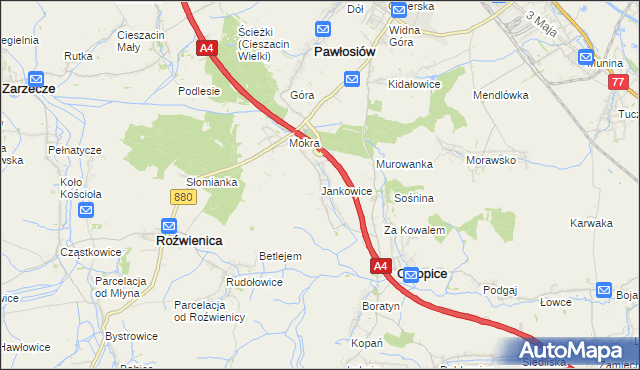 mapa Jankowice gmina Chłopice, Jankowice gmina Chłopice na mapie Targeo