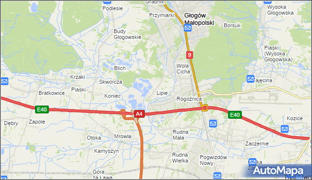 mapa Lipie gmina Głogów Małopolski, Lipie gmina Głogów Małopolski na mapie Targeo