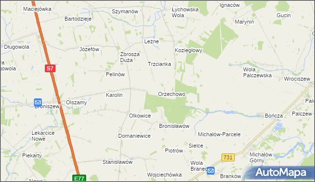 mapa Orzechowo gmina Jasieniec, Orzechowo gmina Jasieniec na mapie Targeo