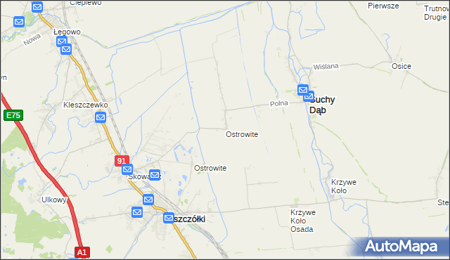 mapa Ostrowite gmina Suchy Dąb, Ostrowite gmina Suchy Dąb na mapie Targeo