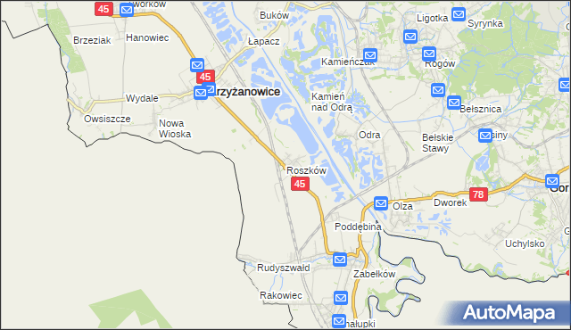 mapa Roszków gmina Krzyżanowice, Roszków gmina Krzyżanowice na mapie Targeo