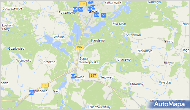 mapa Szczodrochowo gmina Skoki, Szczodrochowo gmina Skoki na mapie Targeo