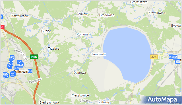 mapa Tarnówek gmina Polkowice, Tarnówek gmina Polkowice na mapie Targeo