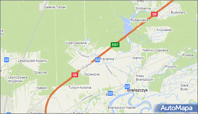 mapa Trzcianka gmina Brańszczyk, Trzcianka gmina Brańszczyk na mapie Targeo