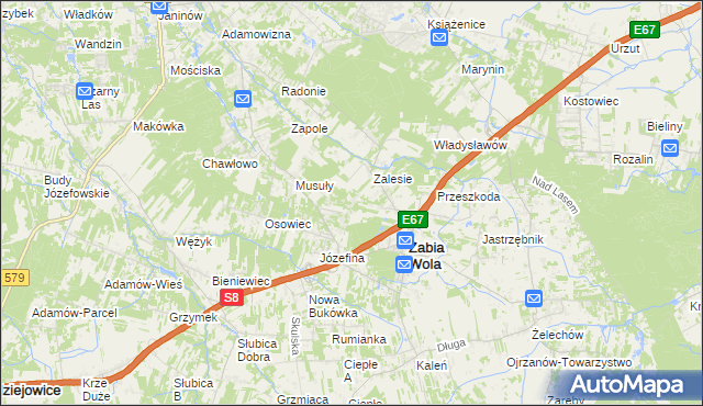 mapa Wycinki Osowskie, Wycinki Osowskie na mapie Targeo