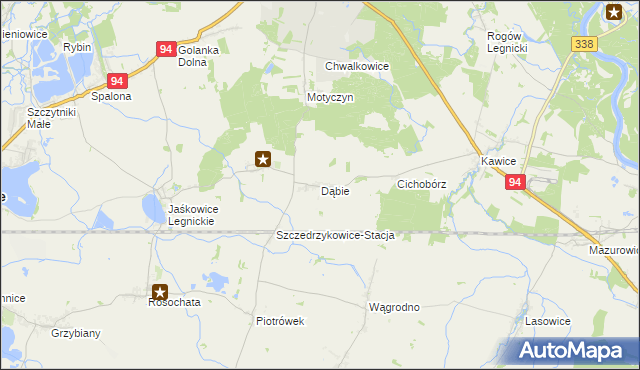 mapa Dąbie gmina Prochowice, Dąbie gmina Prochowice na mapie Targeo