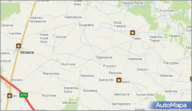 mapa Dąbkowice gmina Strzelce, Dąbkowice gmina Strzelce na mapie Targeo