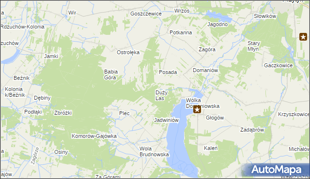 mapa Duży Las gmina Przytyk, Duży Las gmina Przytyk na mapie Targeo