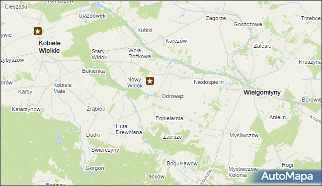 mapa Odrowąż gmina Wielgomłyny, Odrowąż gmina Wielgomłyny na mapie Targeo