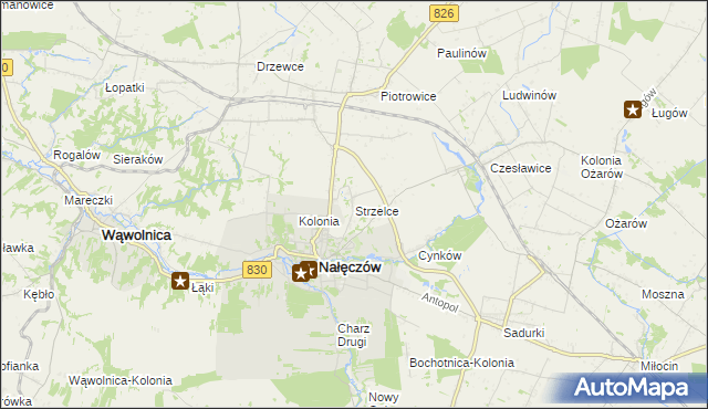 mapa Strzelce gmina Nałęczów, Strzelce gmina Nałęczów na mapie Targeo