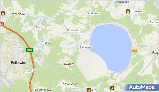 mapa Tarnówek gmina Polkowice, Tarnówek gmina Polkowice na mapie Targeo