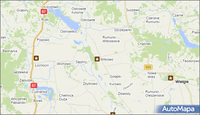 mapa Witkowo gmina Wielgie, Witkowo gmina Wielgie na mapie Targeo