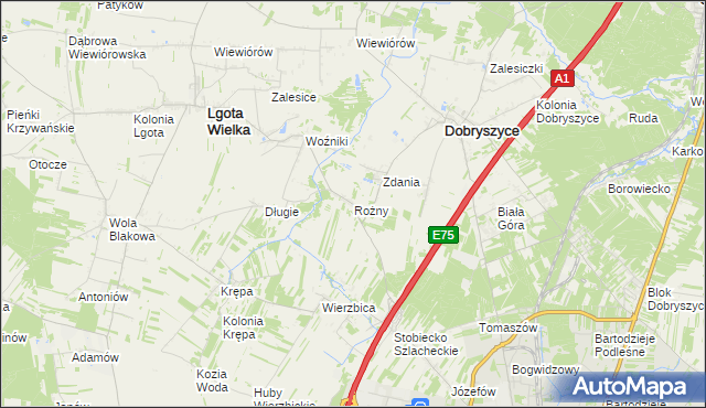 mapa Rożny, Rożny na mapie Targeo