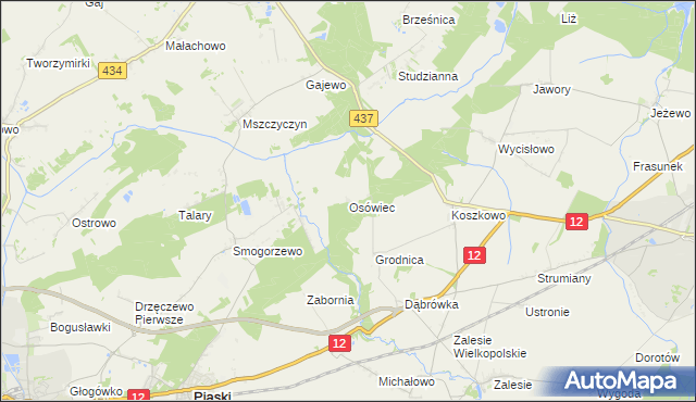 mapa Osówiec gmina Borek Wielkopolski, Osówiec gmina Borek Wielkopolski na mapie Targeo
