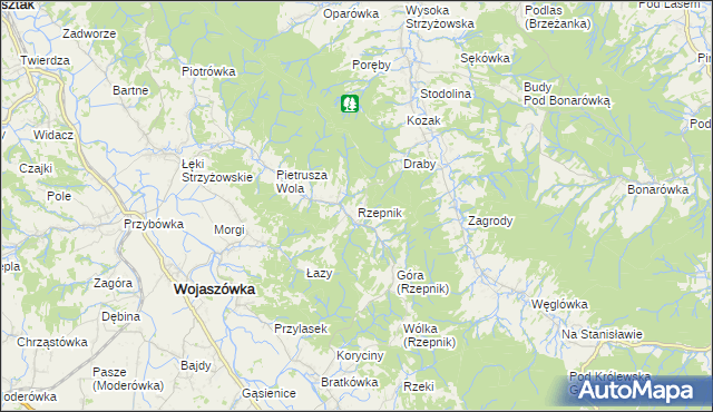 mapa Rzepnik, Rzepnik na mapie Targeo
