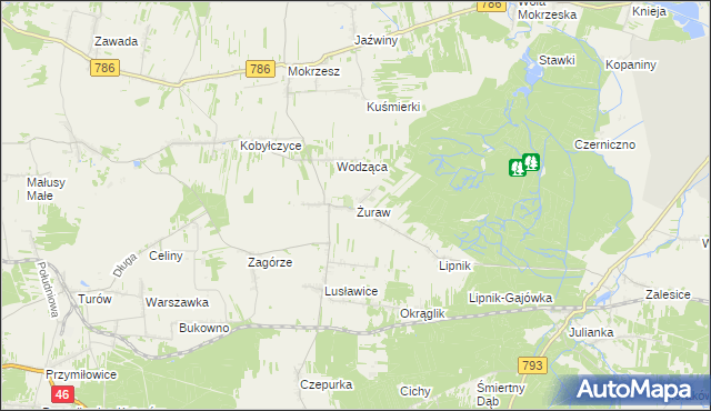 mapa Żuraw gmina Janów, Żuraw gmina Janów na mapie Targeo