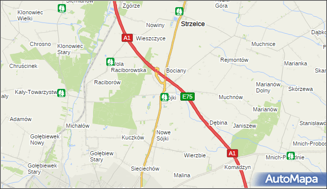 mapa Sójki gmina Strzelce, Sójki gmina Strzelce na mapie Targeo