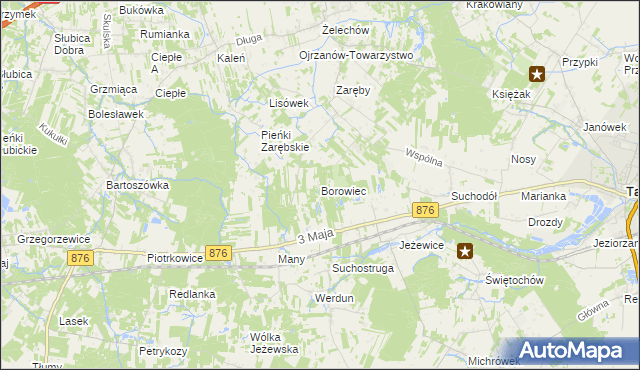 mapa Borowiec gmina Tarczyn, Borowiec gmina Tarczyn na mapie Targeo