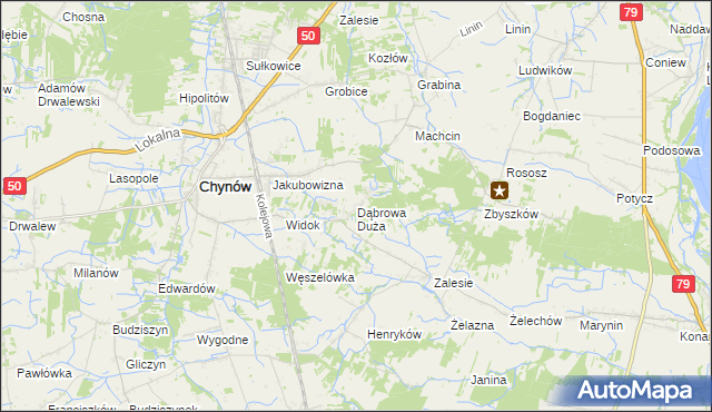 mapa Dąbrowa Duża gmina Chynów, Dąbrowa Duża gmina Chynów na mapie Targeo