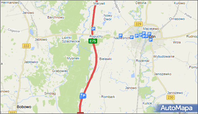 mapa Bielawki gmina Pelplin, Bielawki gmina Pelplin na mapie Targeo