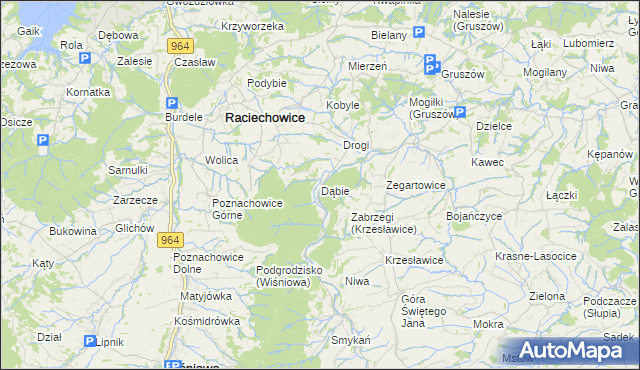 mapa Dąbie gmina Raciechowice, Dąbie gmina Raciechowice na mapie Targeo