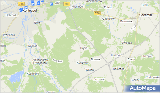 mapa Dąbie gmina Secemin, Dąbie gmina Secemin na mapie Targeo