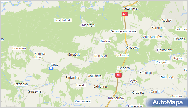 mapa Kostrzyn gmina Wyśmierzyce, Kostrzyn gmina Wyśmierzyce na mapie Targeo