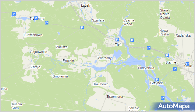 mapa Wierzchy gmina Osie, Wierzchy gmina Osie na mapie Targeo