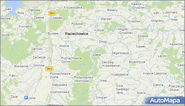 mapa Dąbie gmina Raciechowice, Dąbie gmina Raciechowice na mapie Targeo