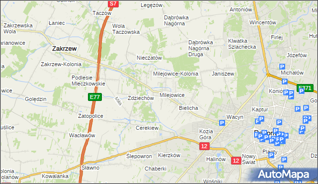 mapa Milejowice gmina Zakrzew, Milejowice gmina Zakrzew na mapie Targeo