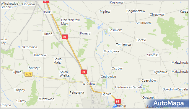 mapa Parzyce gmina Ozorków, Parzyce gmina Ozorków na mapie Targeo