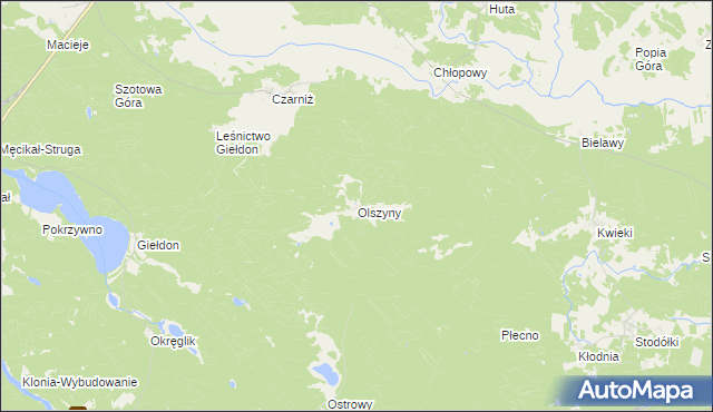 mapa Olszyny gmina Czersk, Olszyny gmina Czersk na mapie Targeo