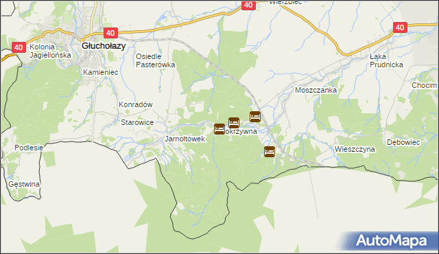 mapa Pokrzywna gmina Głuchołazy, Pokrzywna gmina Głuchołazy na mapie Targeo