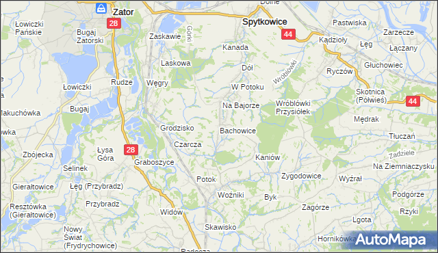 mapa Bachowice, Bachowice na mapie Targeo