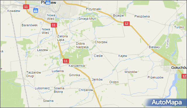 mapa Cieśle gmina Gołuchów, Cieśle gmina Gołuchów na mapie Targeo