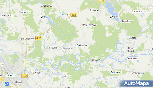 mapa Dąbrowa gmina Śrem, Dąbrowa gmina Śrem na mapie Targeo