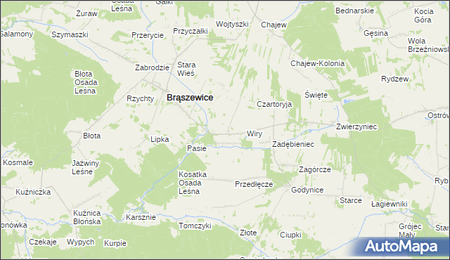 mapa Lisy gmina Brąszewice, Lisy gmina Brąszewice na mapie Targeo