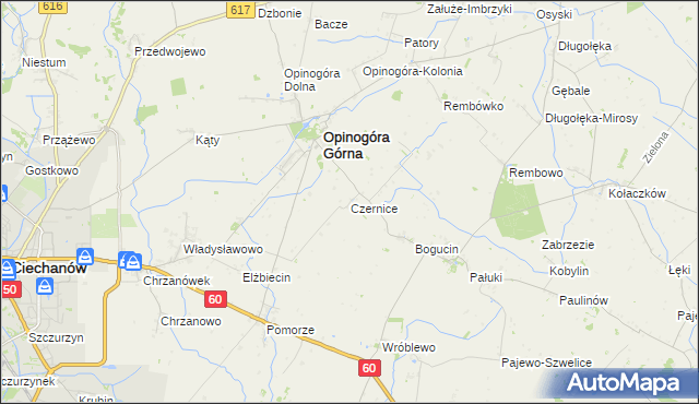 mapa Czernice gmina Opinogóra Górna, Czernice gmina Opinogóra Górna na mapie Targeo