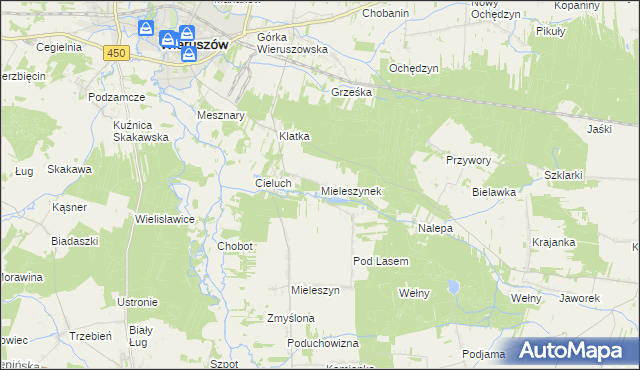 mapa Mieleszynek, Mieleszynek na mapie Targeo