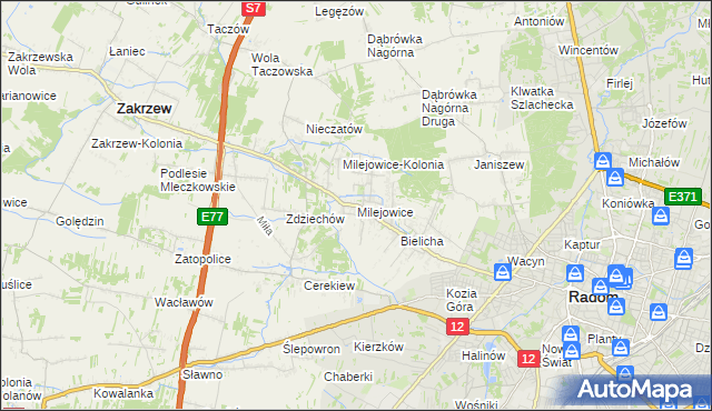 mapa Milejowice gmina Zakrzew, Milejowice gmina Zakrzew na mapie Targeo