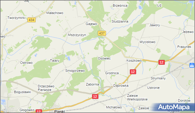 mapa Osówiec gmina Borek Wielkopolski, Osówiec gmina Borek Wielkopolski na mapie Targeo