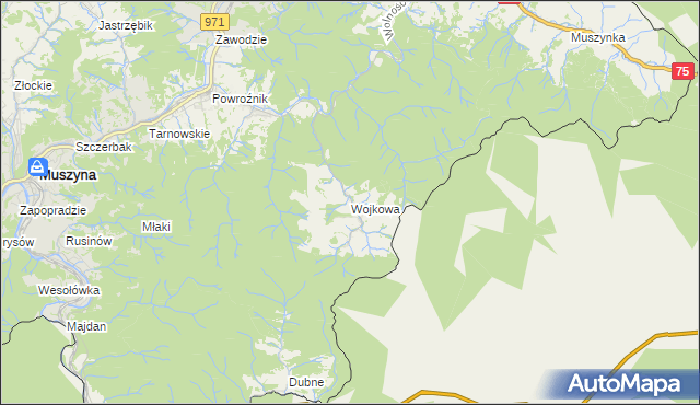 mapa Wojkowa, Wojkowa na mapie Targeo