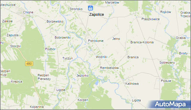 mapa Woźniki gmina Zapolice, Woźniki gmina Zapolice na mapie Targeo